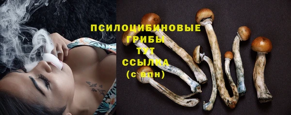ешки Алзамай