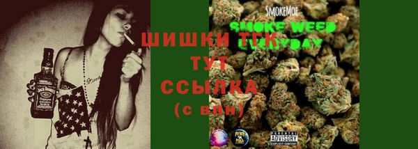 дурь Алексин